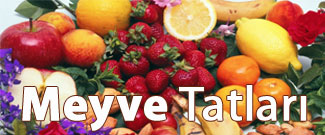 Meyve Tadları