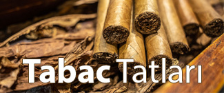 Tütün Tadları